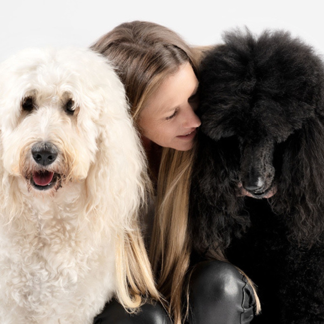 chien noir et blanc smith&burton, meilleur shampoing