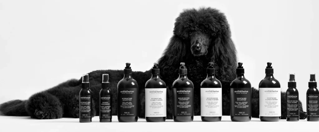 Caniche royal noir, shampoing et apres shampoing naturels pour chien, adapté à toutes les races, tous les types de poils et de fourrure, du chiot au chien adulte ou senior. smithandburton 