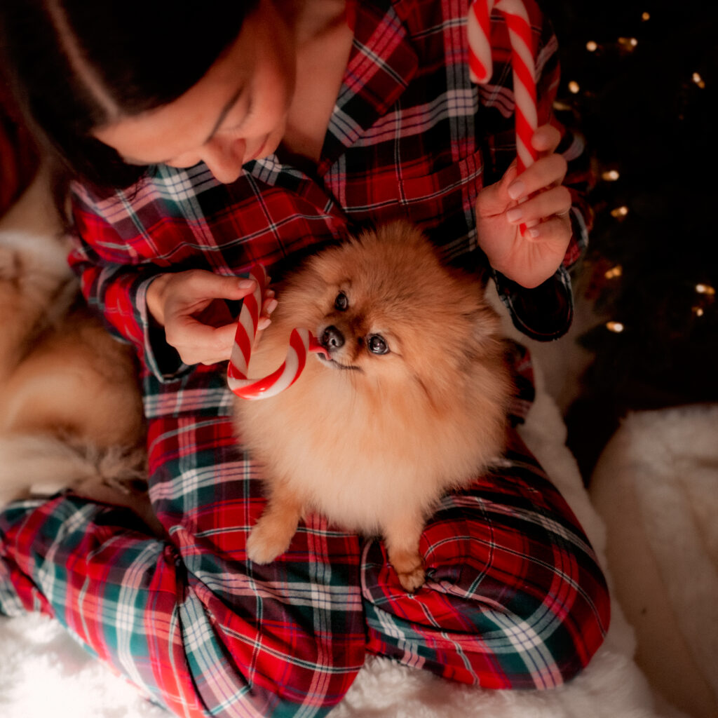 photo chien ambiance noel, pyjama de noel 